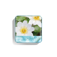 AppleBlossom hoverimage